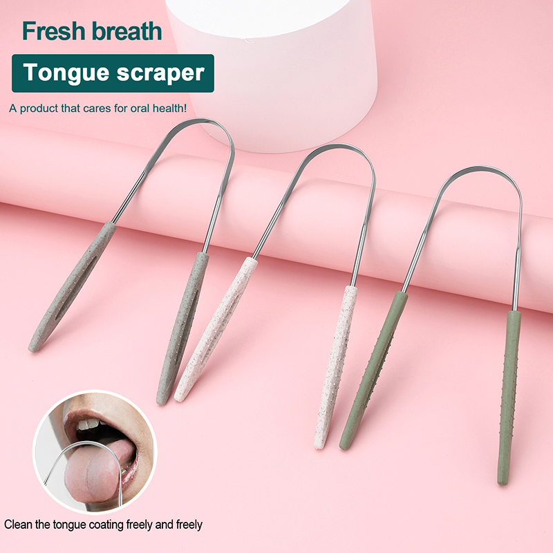 Tongue Scraper Metal - ＆1Pc Stainless Steel Tongue Scraper Fresh