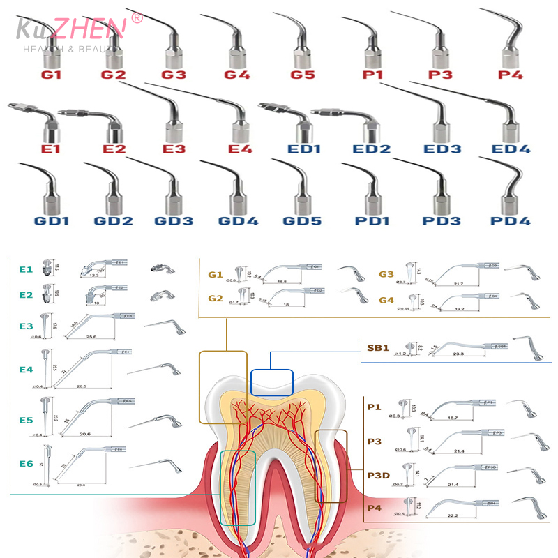 1Pc Dental Ultrasonic Perio Sc - Teeth Whitening Tips 评论和价格