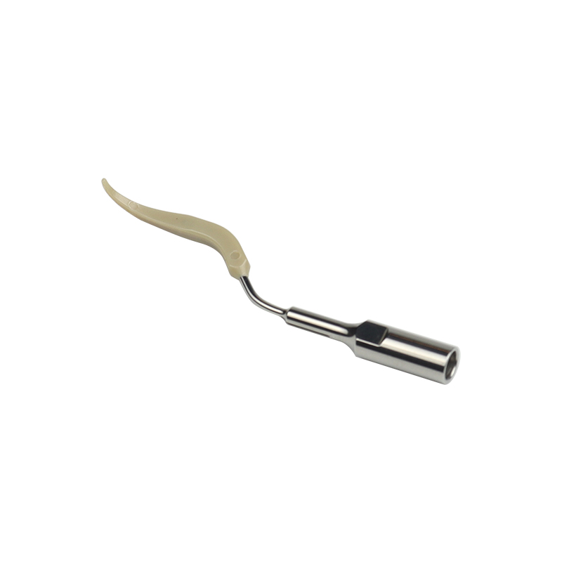5pcs BD6L Dental Ultrasonic Sc - Teeth Whitening Tips 评论和价格