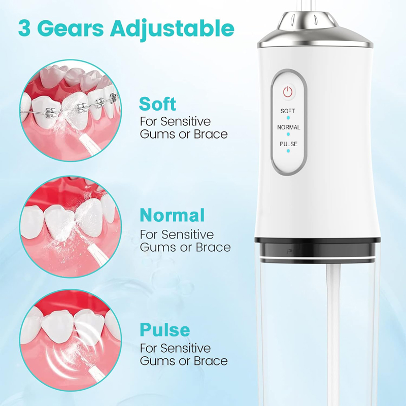 Oral Irrigator Dental Water Je - Dental Floss Picks 评论和价格
