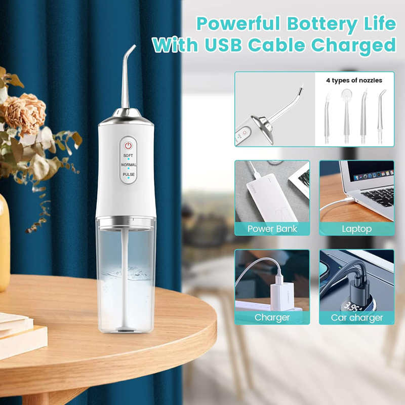 Oral Irrigator Dental Water Je - Dental Floss Picks 评论和价格