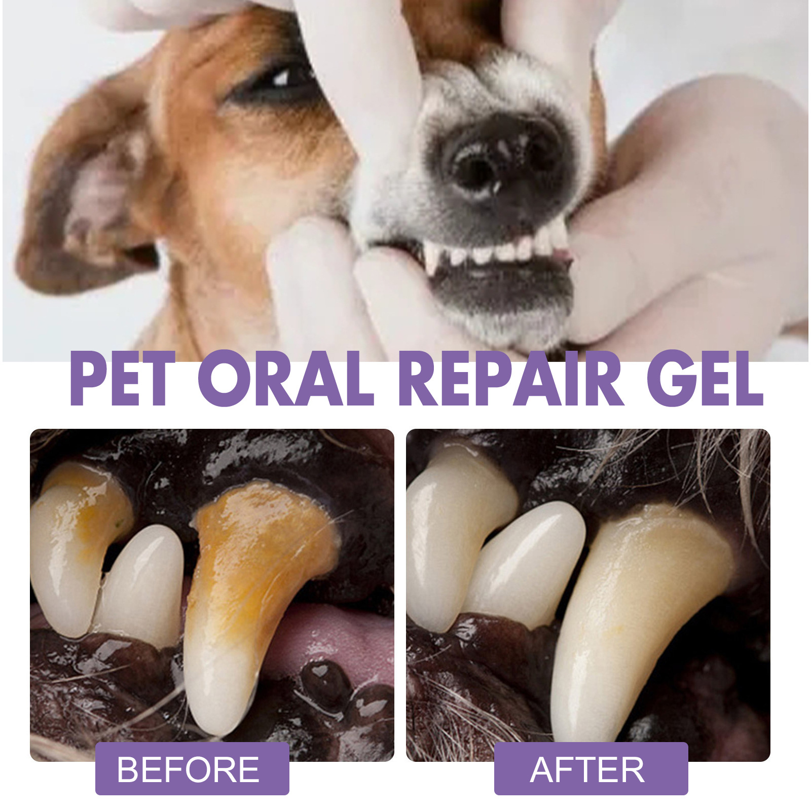Pet Oral Repair Gel Puppy Tart - Teeth Whitening With Peroxide 评论和价格