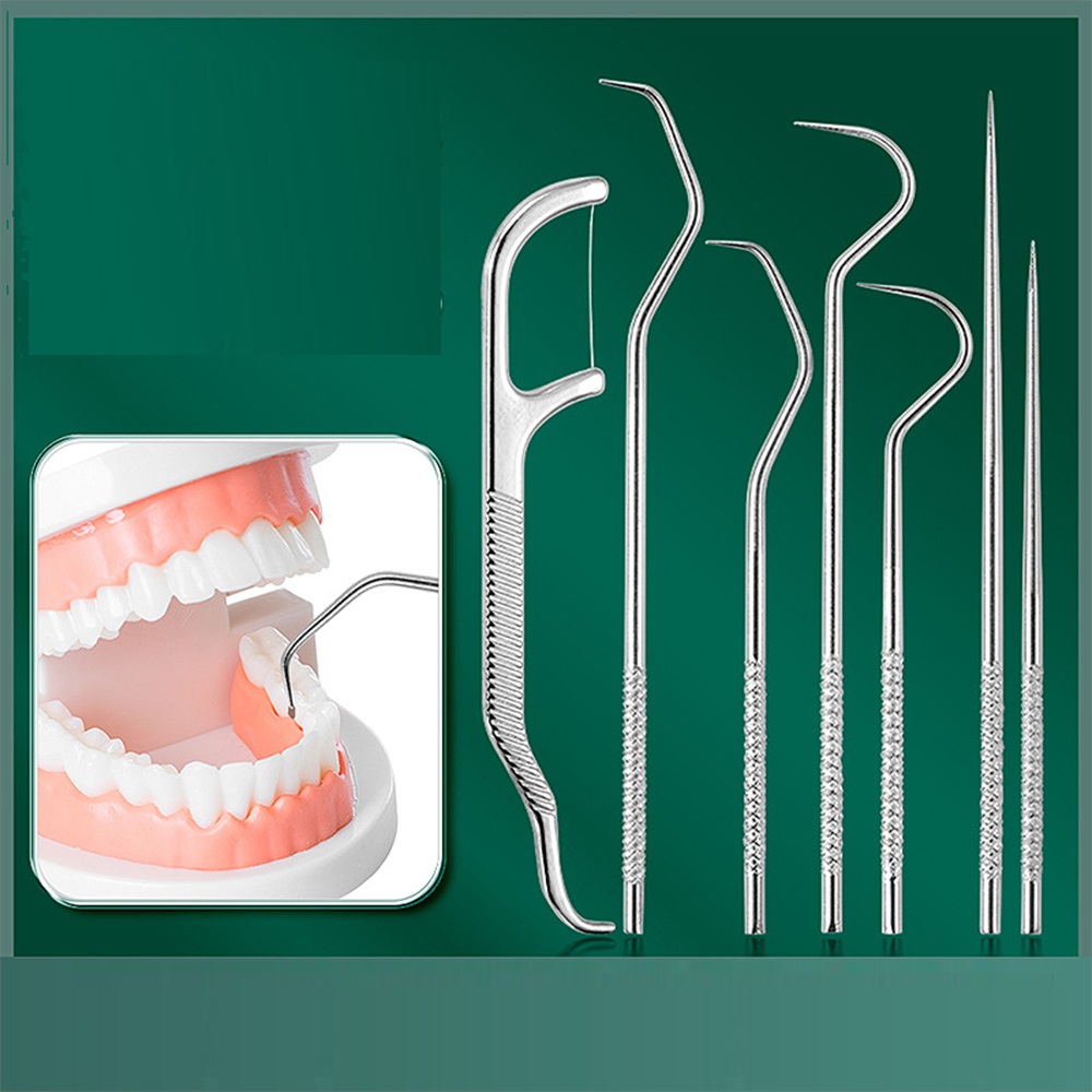 Stainless Steel Toothpick Set  - Dental Floss Picks 评论和价格