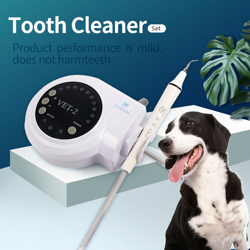 Pet Dental Ultrasonic Scaler D - Teeth Whitening Tips 评论和价格