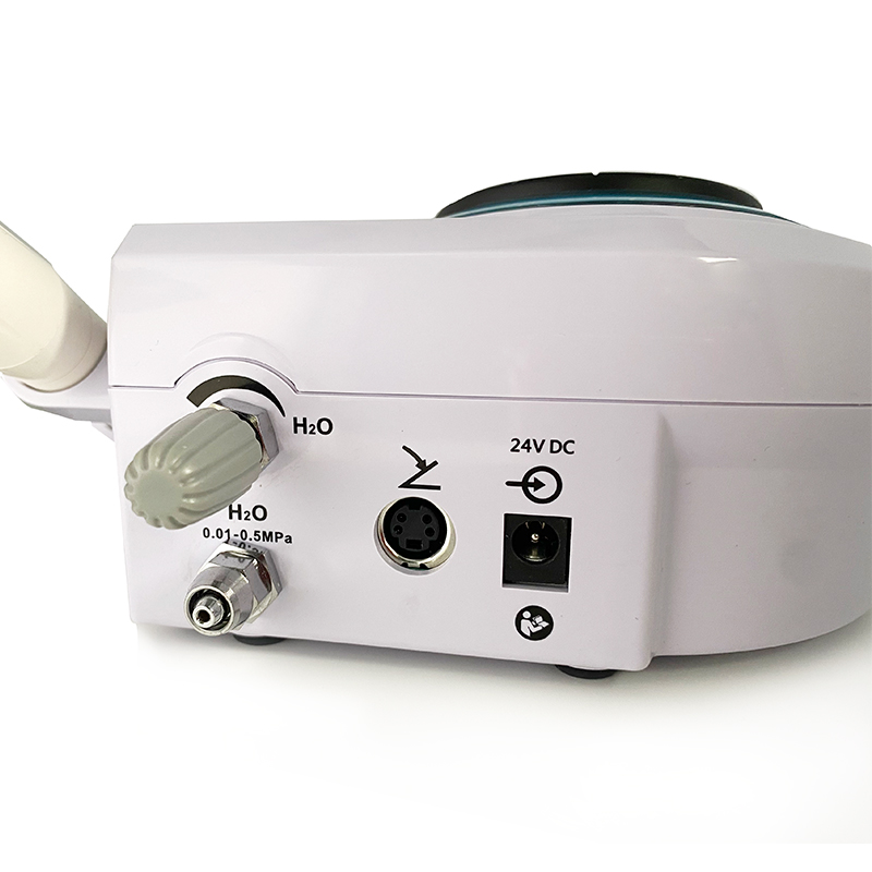Pet Dental Ultrasonic Scaler D - Teeth Whitening Tips 评论和价格